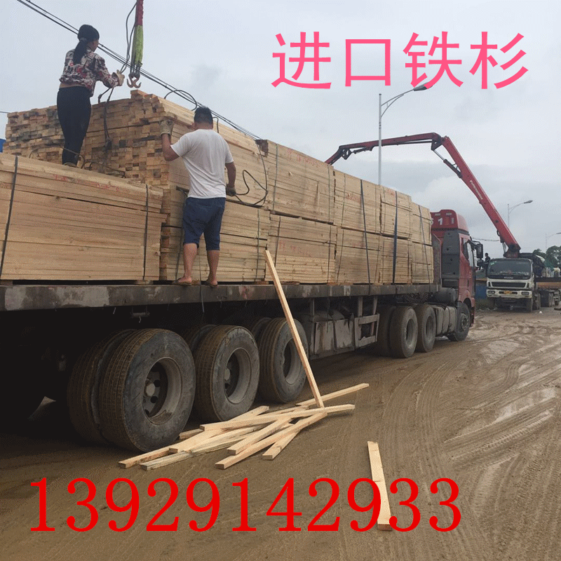 SҼӹNҎľ r|C ֱ̿Nl