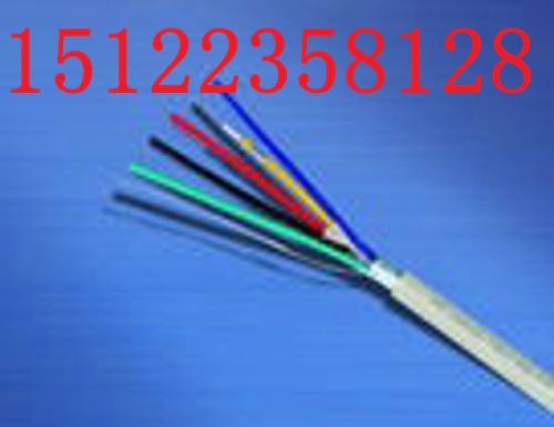 Sҹ(yng)ֱNZRA-KVVRP2/22ȼ|r(ji)/(bo)r(ji)