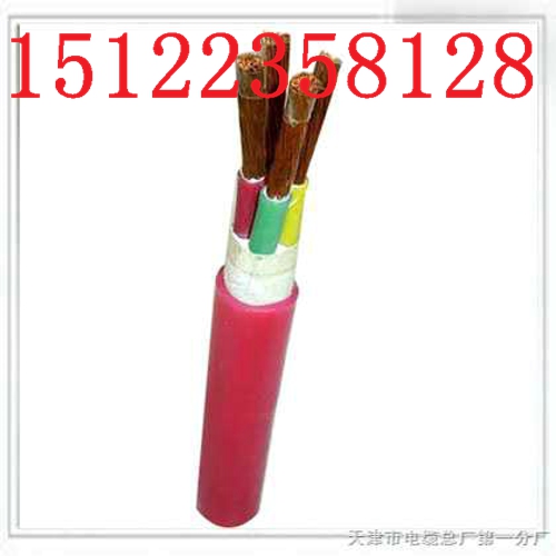 SҹֱNZR-KFFRPȼ|ϵЃr/r