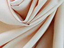 2012ѩŮb/ѩ/{ɫŮʿѩŮr