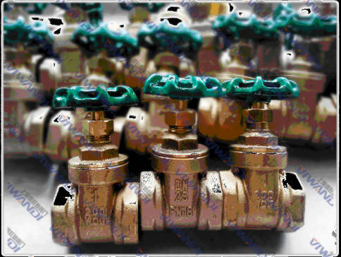 B62~ly|B62~lyS|ϺB62~ly