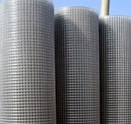 z늺W(wng)N̖(ho)늺W(wng)Ƭ