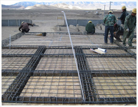 D6䓽ӾW(wng)D8䓽W(wng)ƬE10䓽ӾW(wng)ƬE12䓽W(wng)