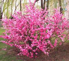 ~÷/ɽ|~÷~÷r(ji)ɽ|~÷r(ji)