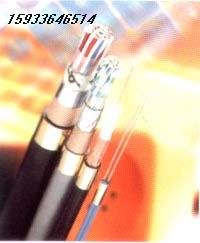 MHJYV 4/0.28~+3/0.28䓾 12 22V