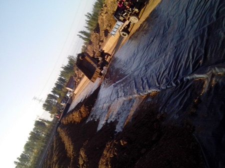 Ȫݏ(f)ĤS15564826222