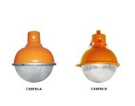 CXSF55 SF55ďSֱN SF55l