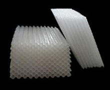 ۱ϩCб䓷CбNۏS