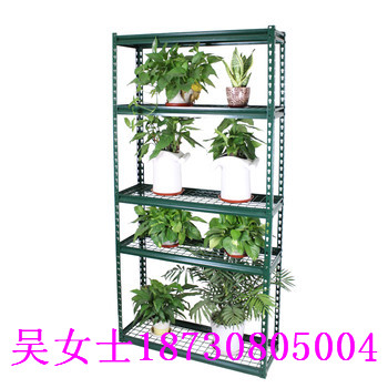 ͥ@ˇ/ܔ[ż/߲˷NֲAy