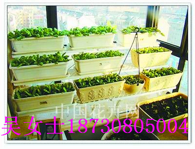 _߲˷Nֲ/չ/ܔ[ż܏S