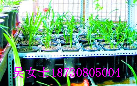 ҃Ȼܔ[ż/@ˇ/߲˷Nֲ܅r