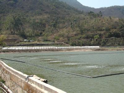 (rׄ~O,~ȫԄC18651884566