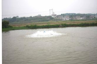 ~~ȫԄ18651884566 (õú)