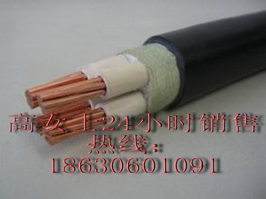 YJLV߉Xо|1*120ƽ/Sṩÿ/r