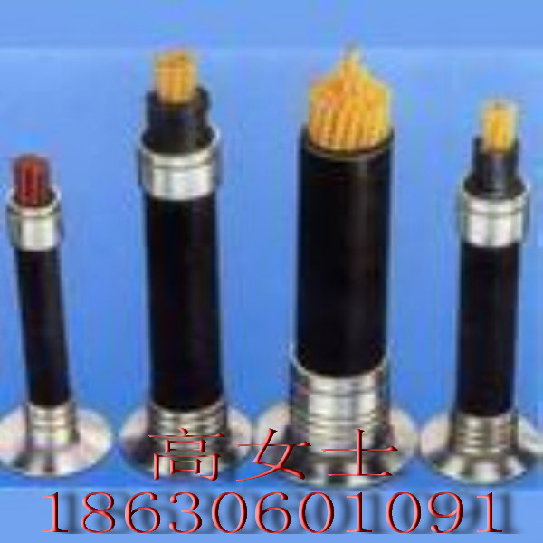 KVVP22-450/750V 8*1.5Xһ IS