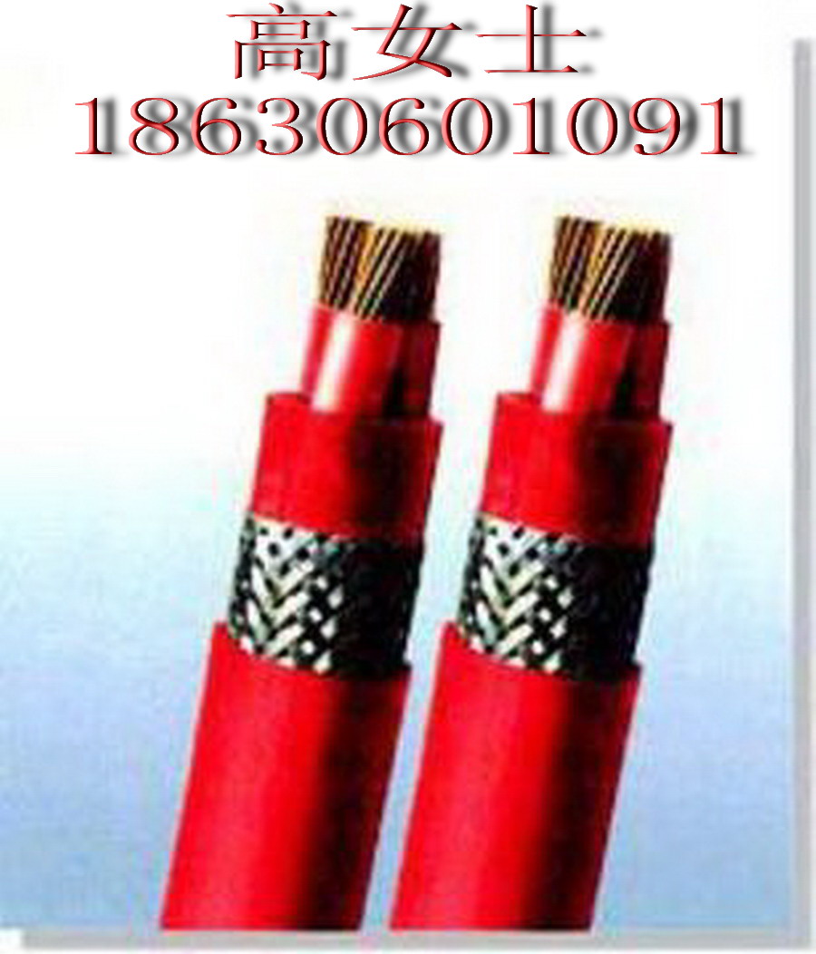 KVVP22-450/750V10*1.5Xһ IS