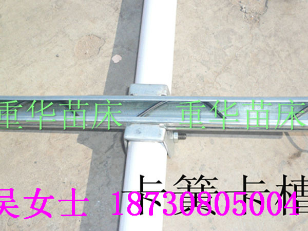 Ĥl/￨ۉĤ/β/Ĥ۹(yng)F(xin)؛