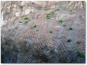 WoھWS ߅oھWӹ 䓰WoھWr