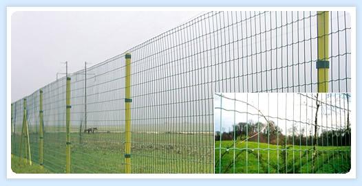 ͨoھW 늏SoھW oھWS҃r