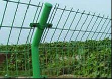 ϺϺp߅oھW FzWڸ߶Ƕ