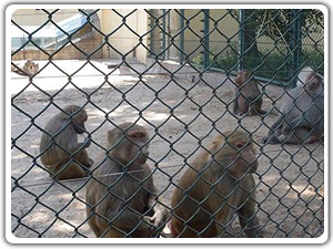 ھWr BuھW @ھW Ȧ؇ھWIaS