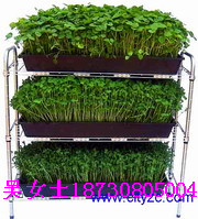 ͥ@ˇ/߲˷Nֲ/ܔ[żܽc