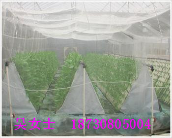 ϩxW/߲˷xW/xW/ϷxW˾OӋ