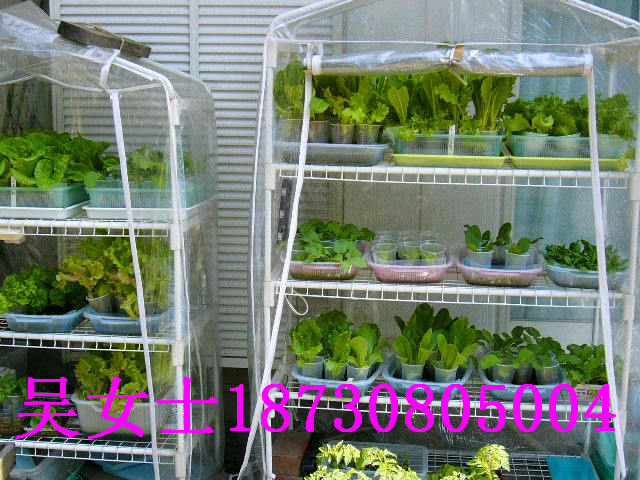 ҃Ȉ@ˇ/ܔ[ż/߲˷NֲӹW