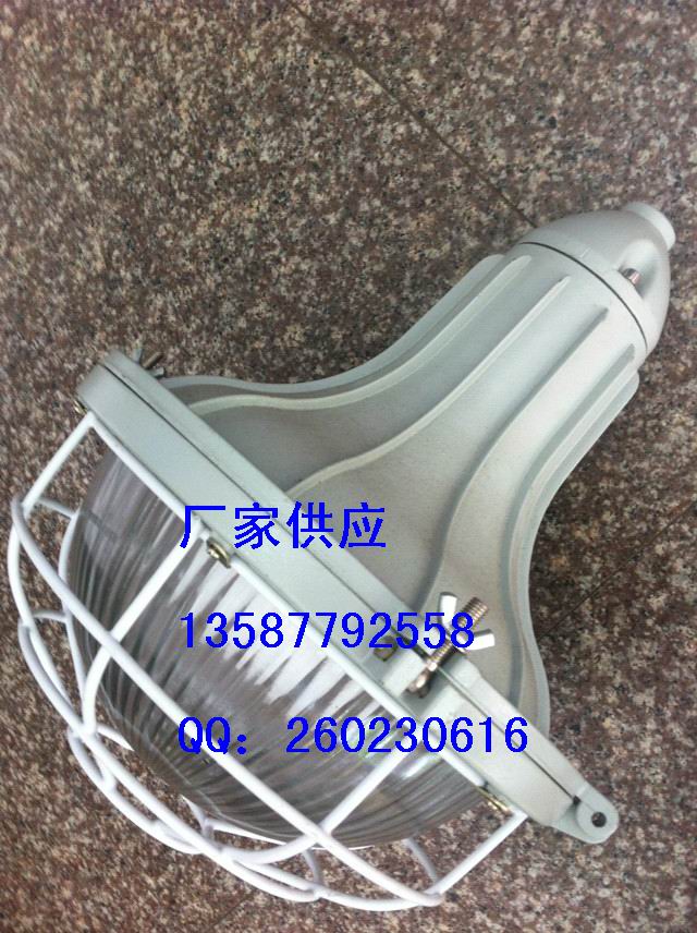 FGL-L-L250h-250Wˮmu