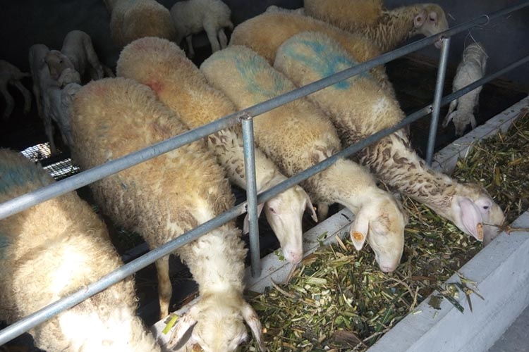 ҂voB(yng)ֳҪc(din)