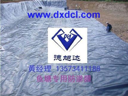 ɽ|~BĤr(ji)/~BĤļ|(zh)/_(d)Ϲ