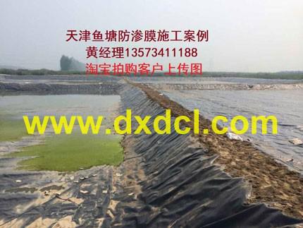 ~BĤa(chn)S/V|~BĤļҺ/_(d)Ϲ