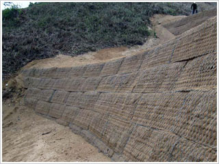 SֱNӵUzʯ\W ɽwoʯ\WS҃r