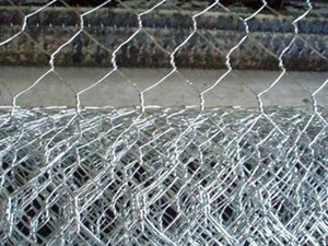 SֱNɽɽwoW ǾW WS҃r