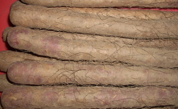 Fɽˎl(f)F(tun)ُ(gu),ѱ߀惺