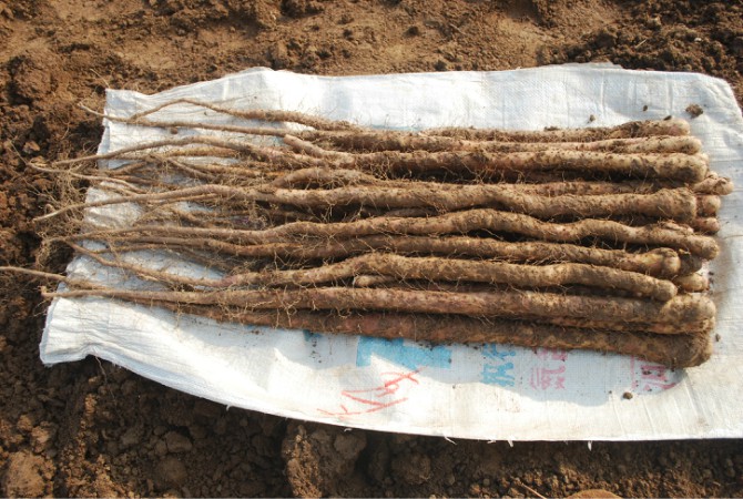 uخa(chn)F(tun)ُ(gu)Ă(g)ط?(ji)ь(sh)ֱ