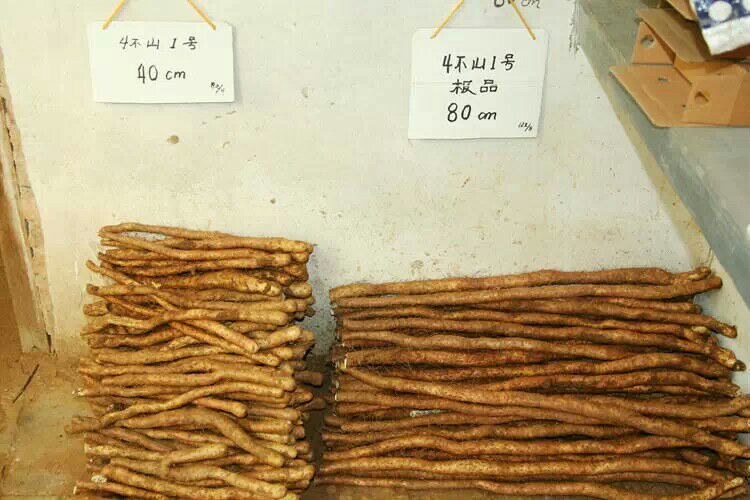 uخa(chn)l(f)?F(tun)ُ(gu)ͶY(sh)ַ