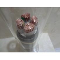 MY0.38/0.66KVúVƄӵVȼ|350+116