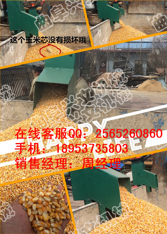 yʽԄZC |ɿ ZCr ɳܛZC 1