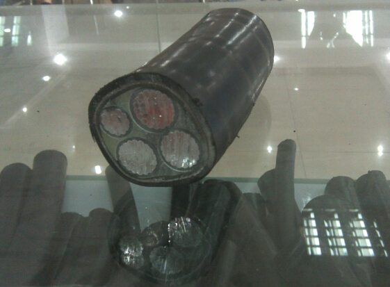 VLV3*95+1*50(bio)Xо|rVLV3*95+1*50