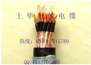 WDZA-IJYVRPLZR-JYRPLV22-300/500V