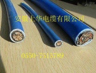 ZR-IJYPVRP-300/500V-2*2*1.5A|