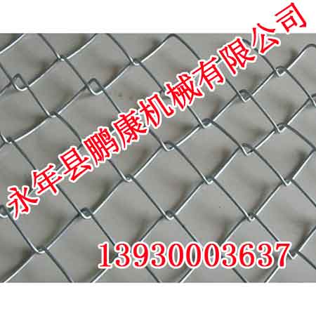 W(wng)Ƭ|W(wng)Ƭr(ji)|W(wng)ƬS|iC(j)е