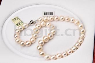 ֹӹ朴24Сr̟ᾀ Ҫϵ