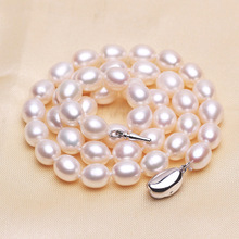 ܟҪX ԓxļҹ˾ ļҿɿ