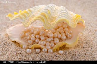 lfӲٍX ֹͥӹ錚 ڼ朼ӹՈc