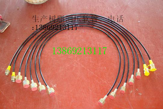 Sҹ(yng) ߉͹ DN4 Ժ ͸߉ߜ