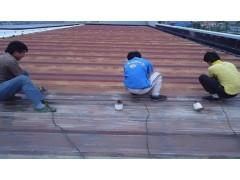 䓽Yṫ˾ 䓰oڳP ͹ϴ