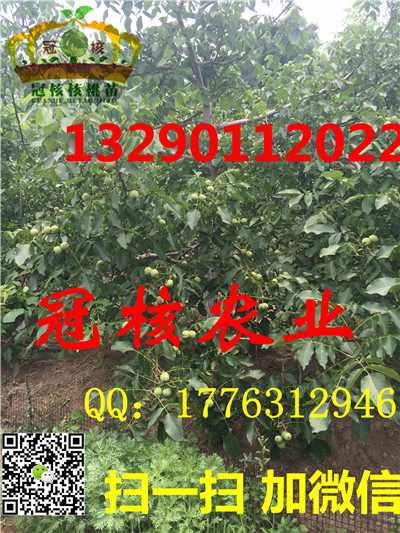 ںһ̖|猍ƷNƷNr