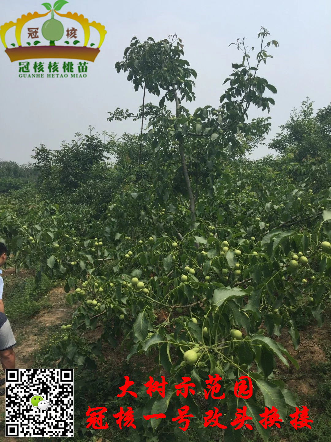 ںһ̖(ho)(yu)|(zh)磡100ϰ]Sa(chn)ʢa(chn)ںһ̖(ho)